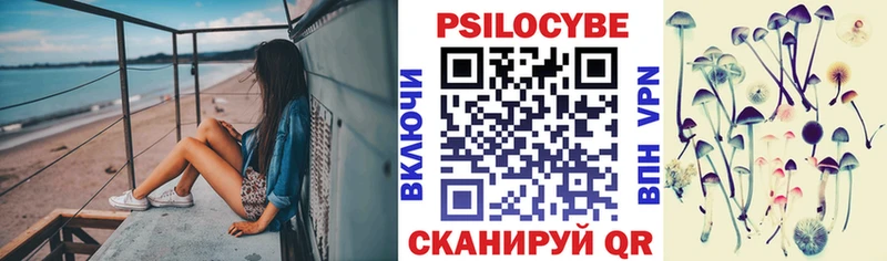 Псилоцибиновые грибы GOLDEN TEACHER Протвино
