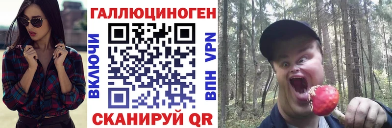 Купить закладки  Протвино  Галлюциногенные грибы GOLDEN TEACHER 